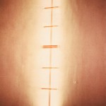 Dan Flavin, To the Young Women and Men Murdered at Kent State and to Fellow Students Who Are Yet To Be Killed (1970)