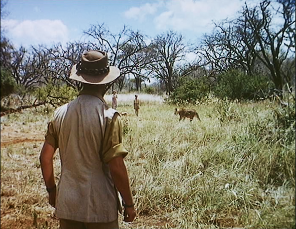 Figure 3 Figs. 1-3: In “The Virtues and the Limits of Montage” Bazin analyzes this scene in Where No Vultures Fly (1951), in which a young child encounters a seemingly lost cub, while the cub’s mother approaches menacingly from behind. As Bazin describes it, “Up to this point everything has been shown in parallel montage [Figs. 1-2] and the somewhat naive attempt at suspense has been quite conven-tional.” However, in Fig. 3, “suddenly, to our horror, the director abandons his montage of separate shots that has kept the protagonists apart and gives us instead parents, child, and lioness all in the same full shot.” At this point, “trickery is out of the question, ” and the shot thus “gives immediate and retroactive authenticity to the very banal montage that has preceded it.”