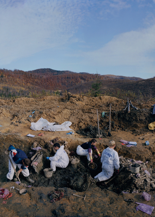 Issue #53: Normativity, AI, and Photographic Realism